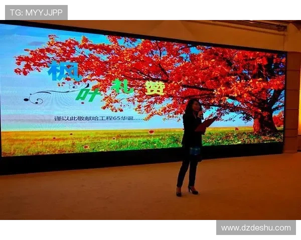 成都羽毛球队逆袭欧锦赛的传奇之路与奋斗精神的完美展现