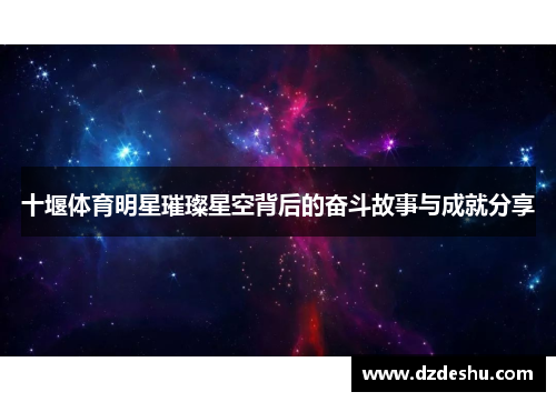 十堰体育明星璀璨星空背后的奋斗故事与成就分享